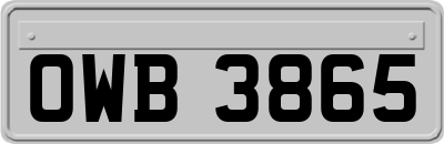 OWB3865