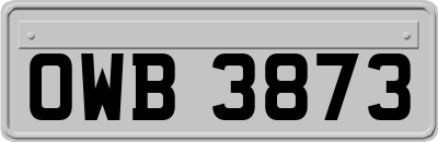 OWB3873