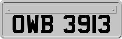OWB3913