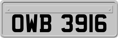 OWB3916