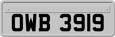OWB3919