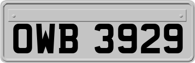 OWB3929
