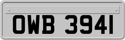 OWB3941
