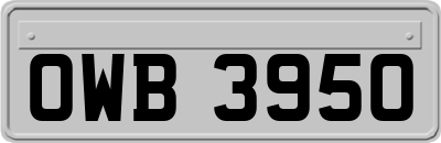 OWB3950