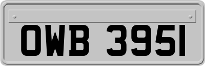 OWB3951