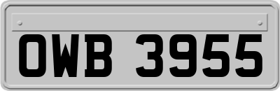 OWB3955