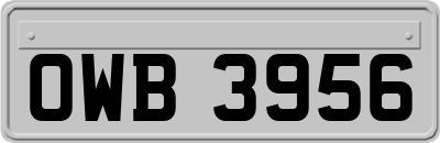 OWB3956