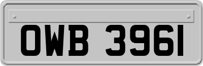 OWB3961