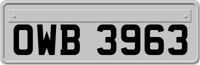 OWB3963