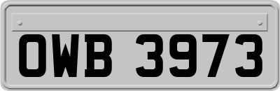 OWB3973
