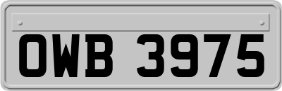 OWB3975
