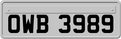 OWB3989