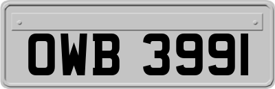 OWB3991