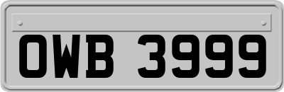 OWB3999