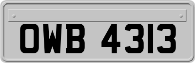 OWB4313