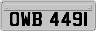 OWB4491