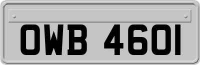 OWB4601
