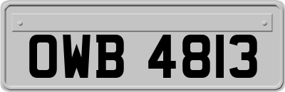 OWB4813