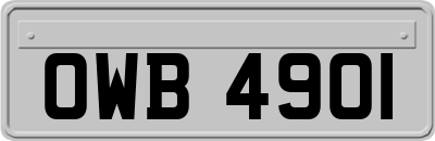 OWB4901
