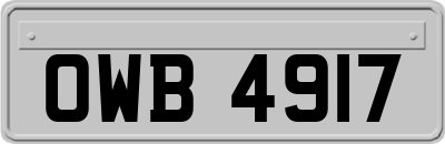 OWB4917