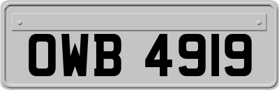 OWB4919