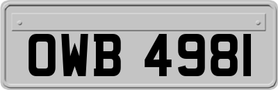 OWB4981