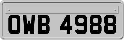 OWB4988