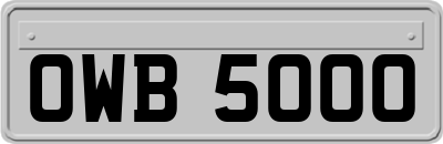 OWB5000