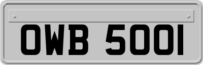 OWB5001
