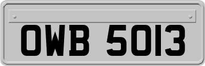 OWB5013