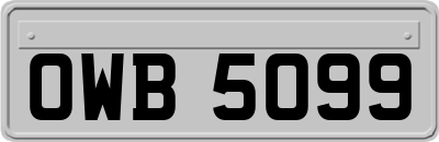 OWB5099