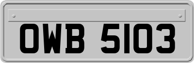 OWB5103