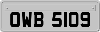 OWB5109