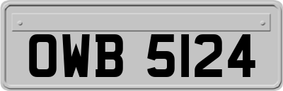 OWB5124
