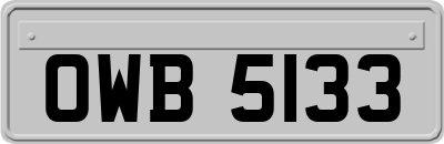 OWB5133
