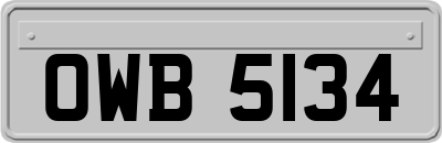 OWB5134