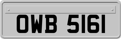 OWB5161