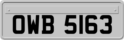 OWB5163