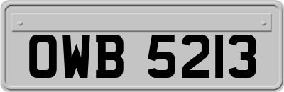 OWB5213