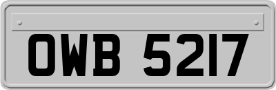 OWB5217