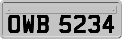 OWB5234