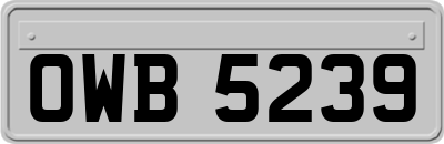 OWB5239