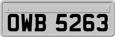 OWB5263
