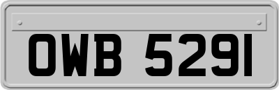 OWB5291