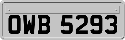 OWB5293