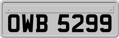 OWB5299
