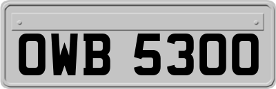 OWB5300