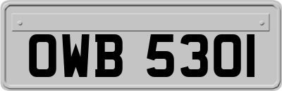 OWB5301