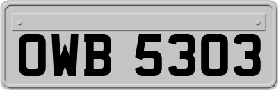 OWB5303