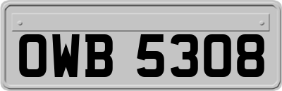 OWB5308